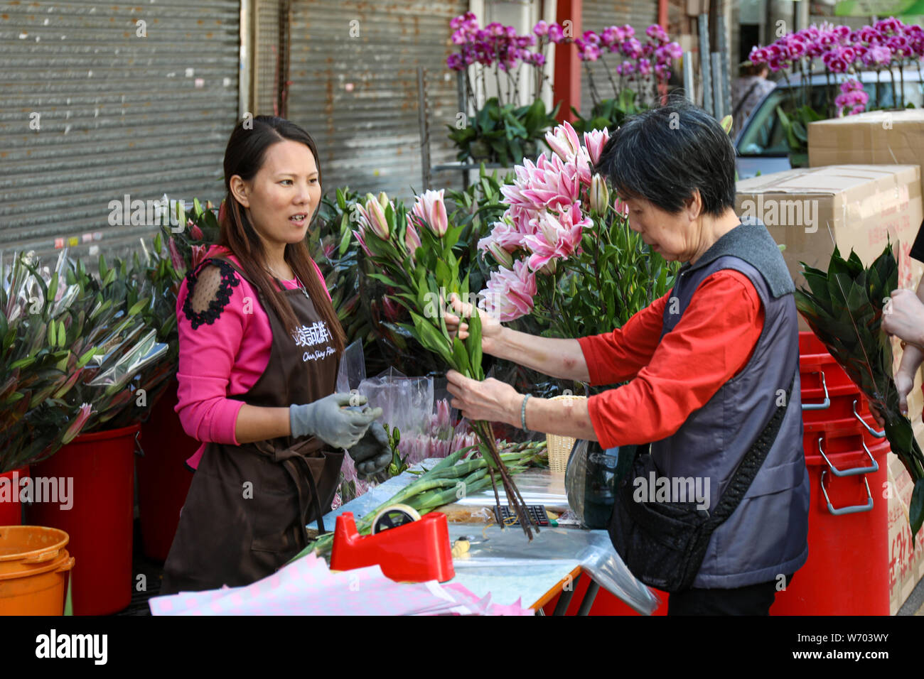 Der Kunde bewertet die Qualität der Blumen im Flower Market Road in Mong Kok, Hong Kong Stockfoto