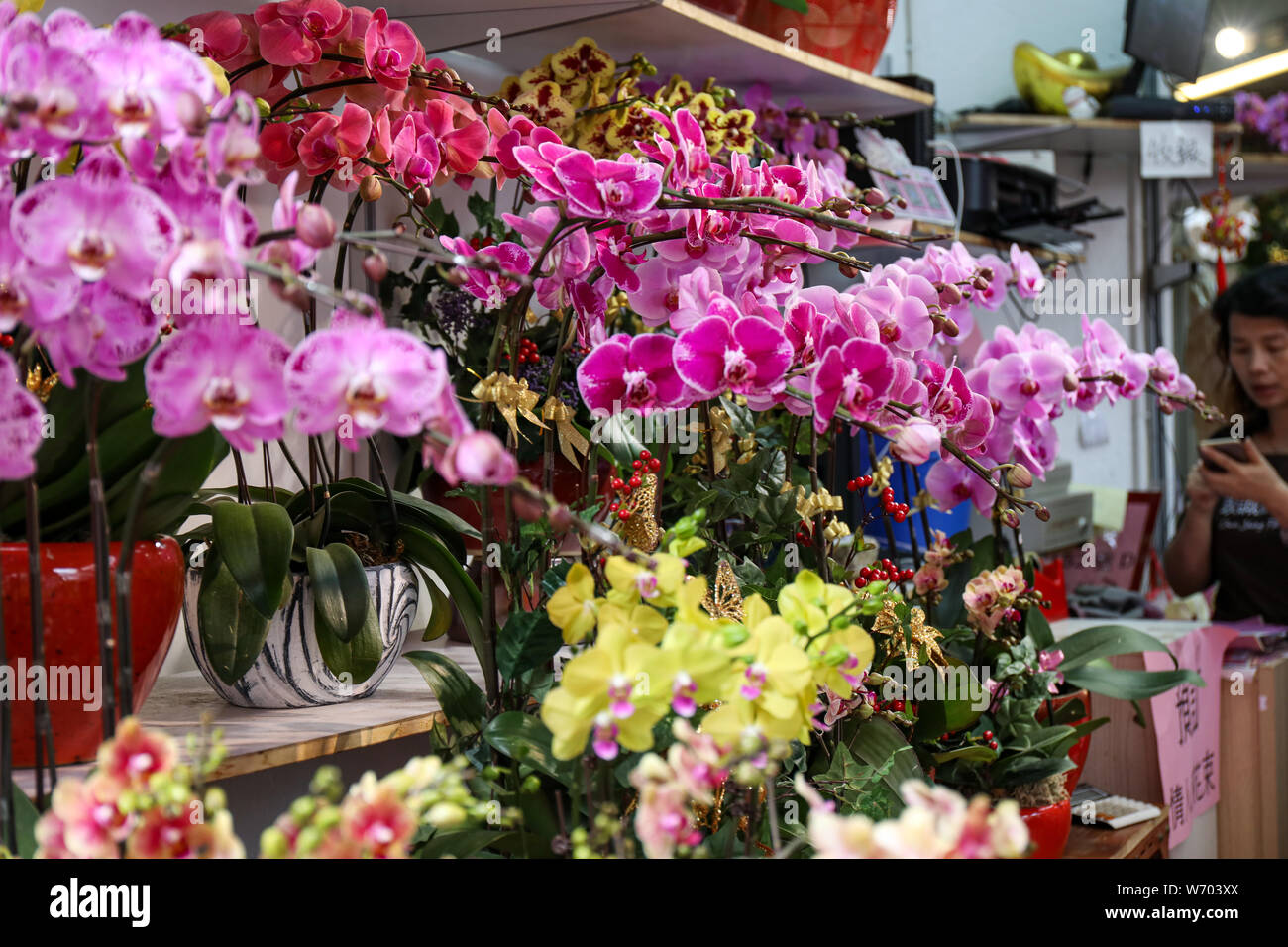 Variation von Orchideen in Mong Kok Blumenmarkt, Hongkong verkauft. Stockfoto