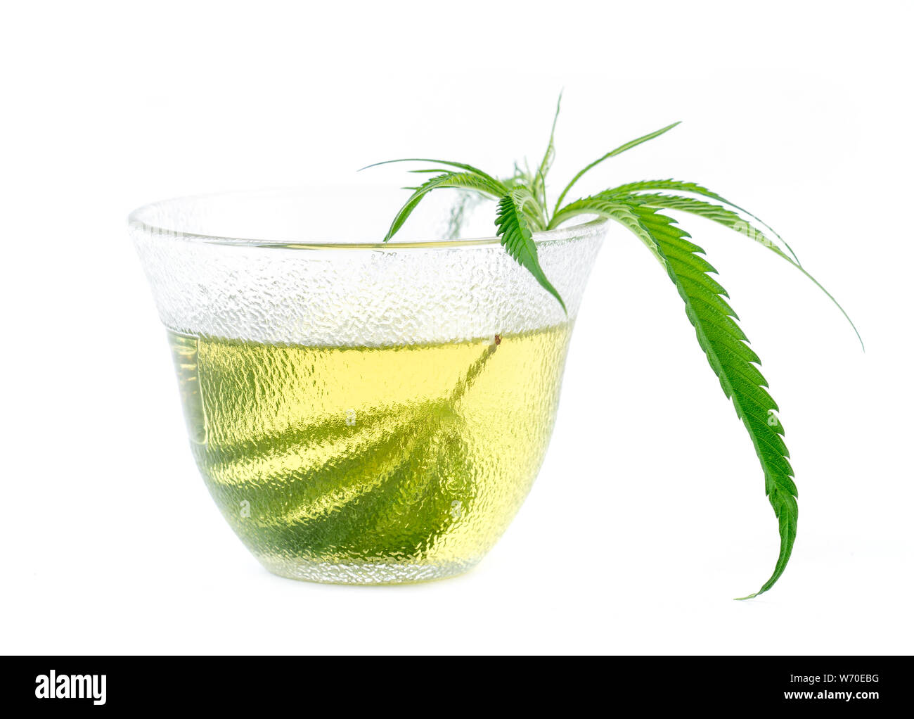 Marihuana Kräutertee serviert im Glas Teetasse Stockfoto
