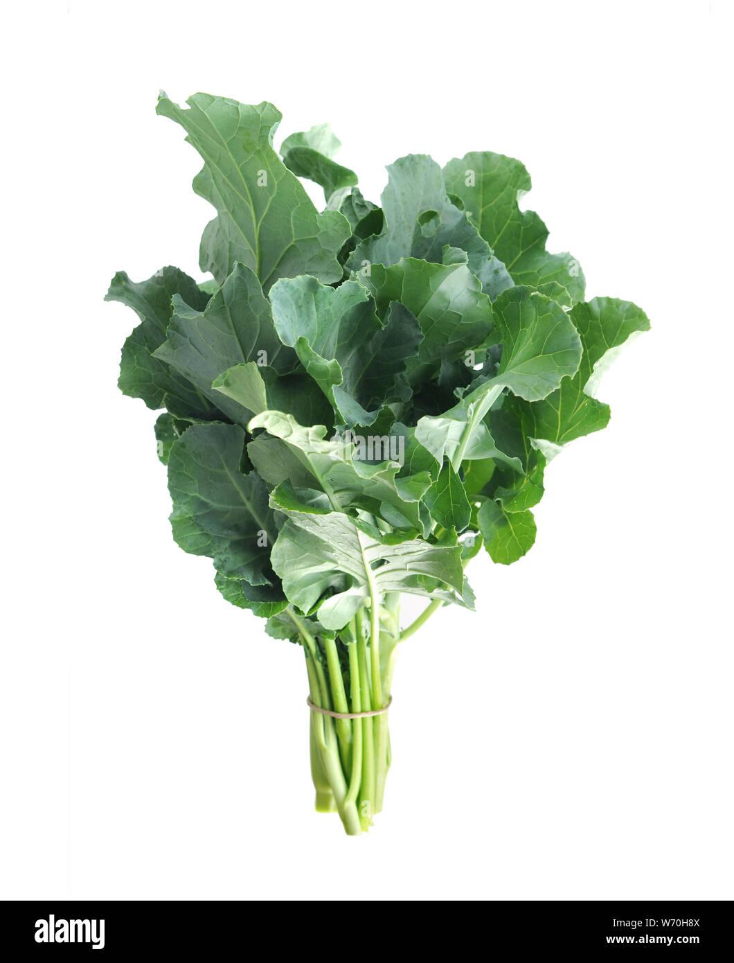 Organische junge Brassicaceae (Gai lan) auf Weiß isoliert Stockfoto