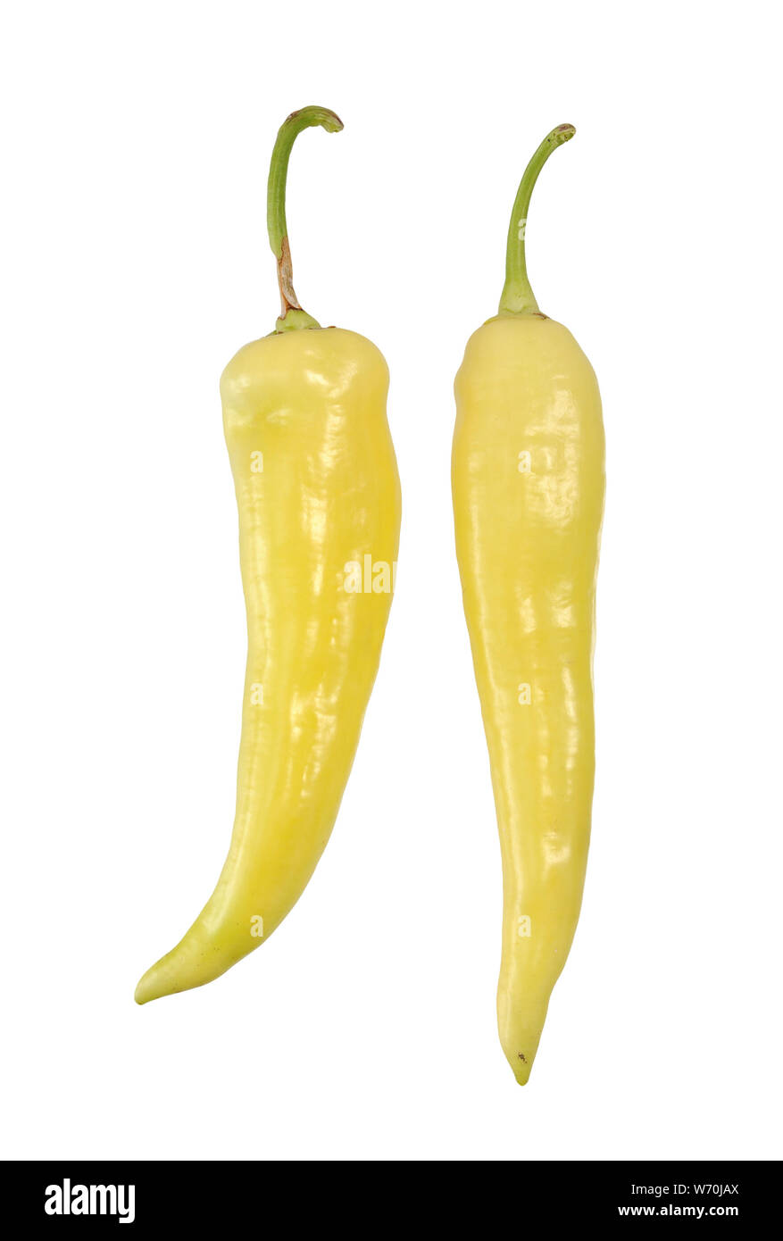 Zwei banana Peppers isoliert auf weißem Stockfoto