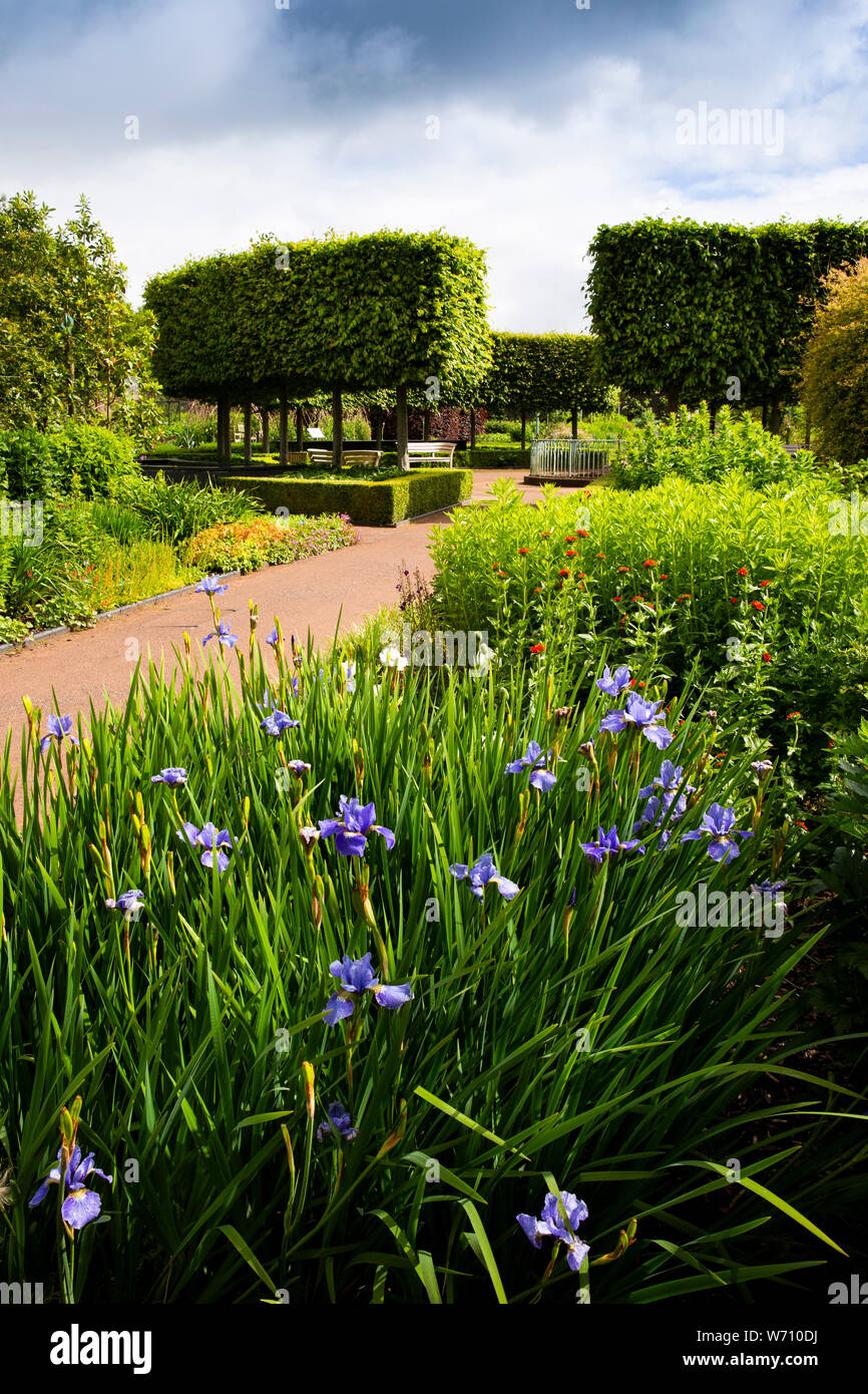 England, Wales, Carmarthenshire, Llanarthney, National Botanic Garden of Wales, ummauerten Garten, blau Iris Stockfoto