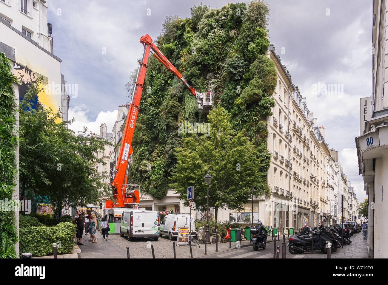 Living Wall Wartung - Wartung von einem vertikalen Garten (L'Oasis d'Aboukir) auf der Rue d'Aboukir in Paris, Frankreich, Europa. Stockfoto
