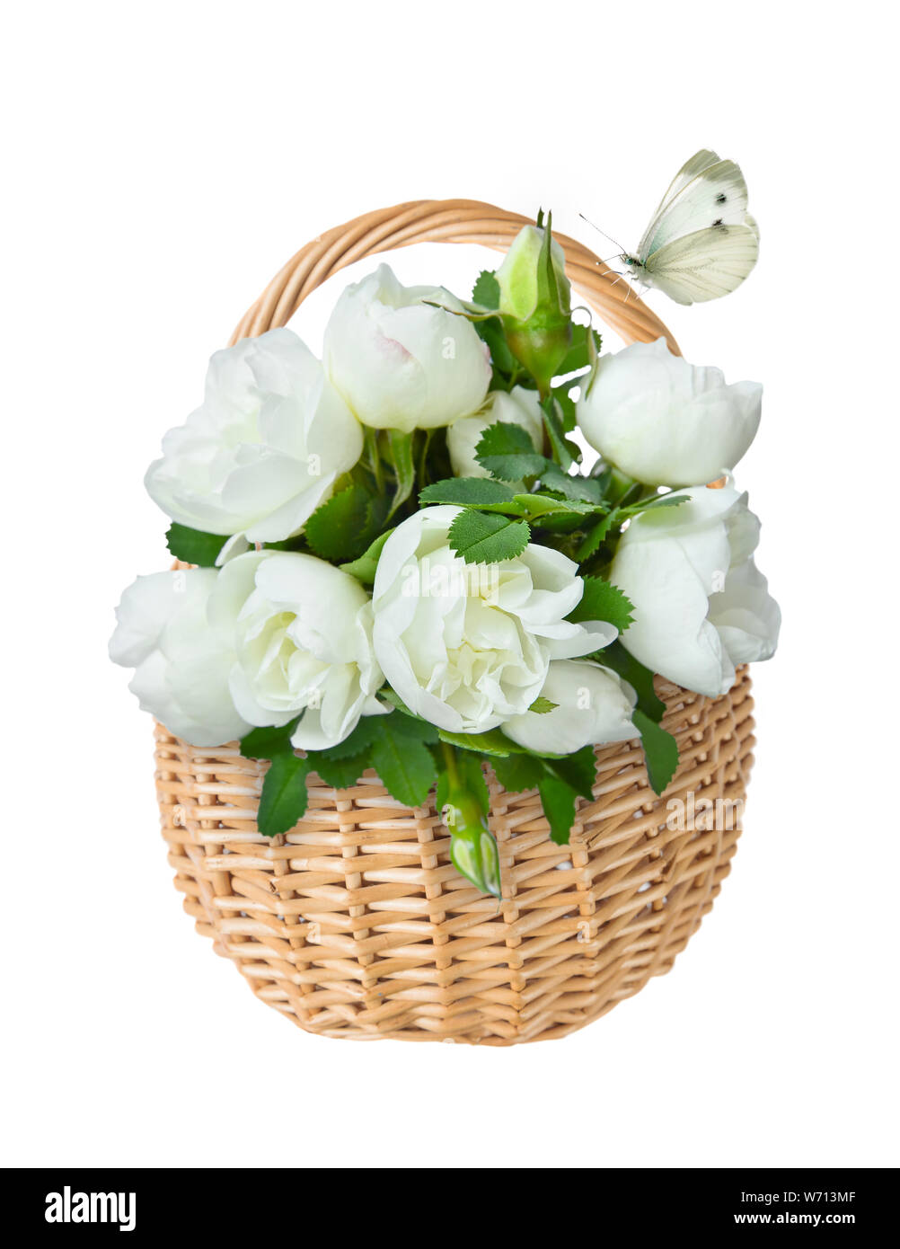 Gelbstirn-blatthühnchen Warenkorb der natürlichen Rattanmöbeln mit Blumenstrauß aus duftenden Blüten der weißen Hund - Rosen und weißen Schmetterling, auf weißem Hintergrund Stockfoto