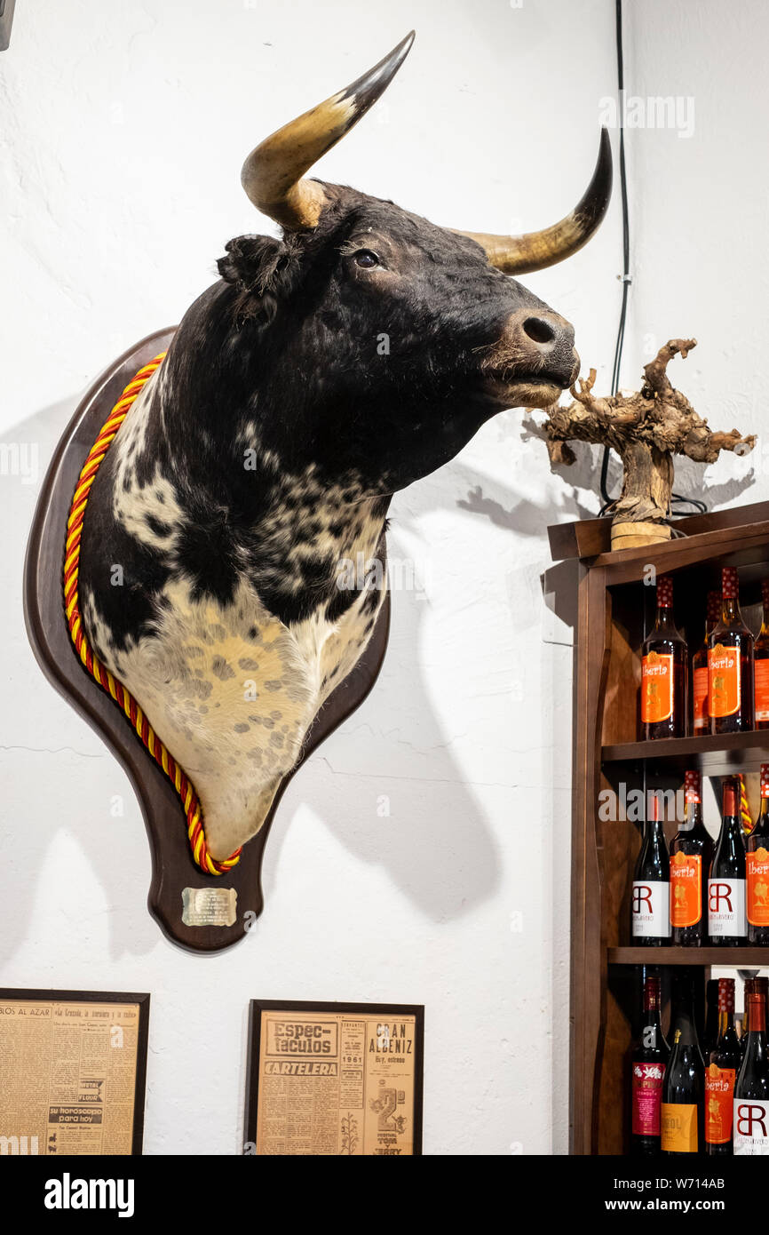 Bulls Head in bar in Málaga, Andalusien, Spanien Stockfoto