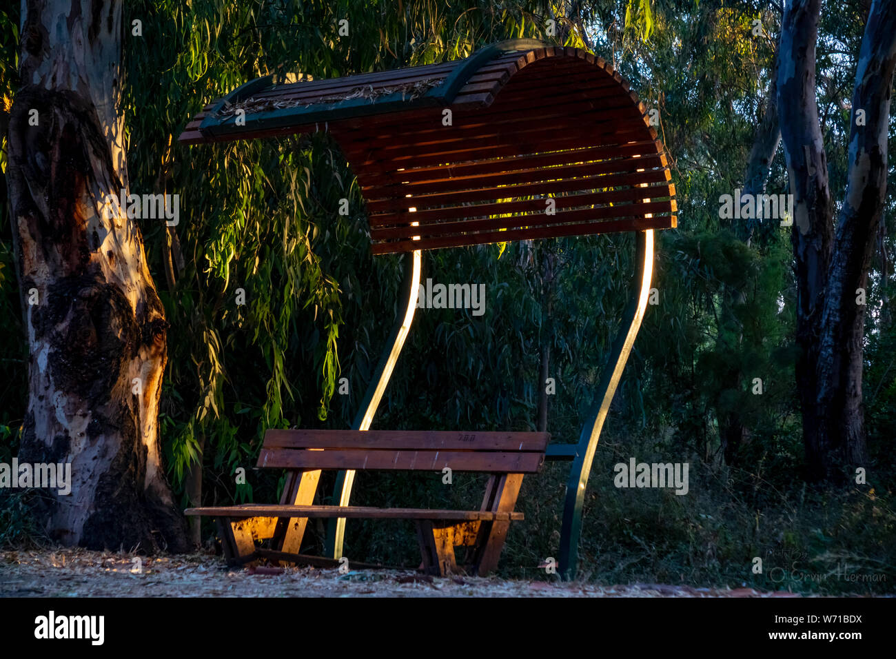 Goldene Stunden im Naturschutzgebiet (Foto wurde im Norden Israels übernommen) Stockfoto