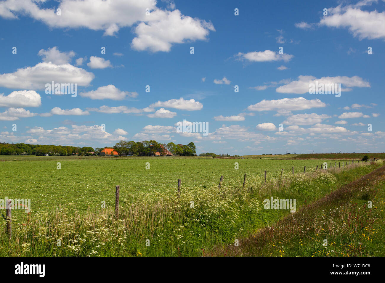 Typische Landschaft des südwestlichen Teil der Niederländischen Provinz Friesland Stockfoto