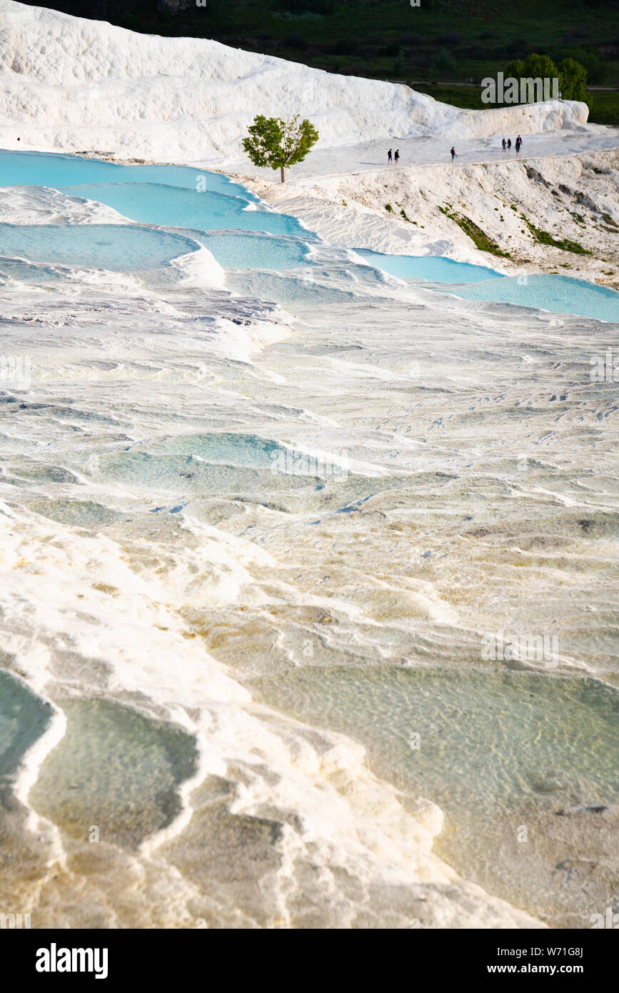 Pamukkale natürliche Pools, Anatolien, Türkei Stockfoto