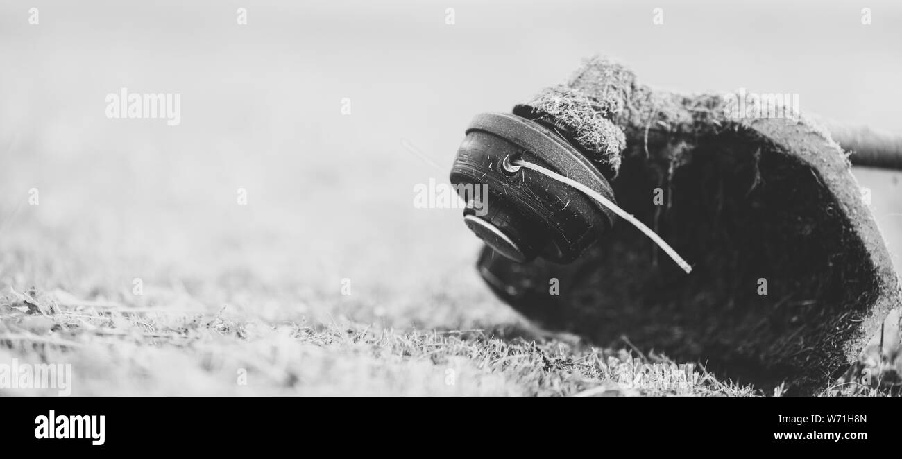 String Trimmer auf gemähten Grases, aus der Nähe. Thema Rasenpflege Dienstleistungen, Vermietung oder Reparatur. Banner format Hintergrund mit Copyspace. Monochrom, matt Stockfoto