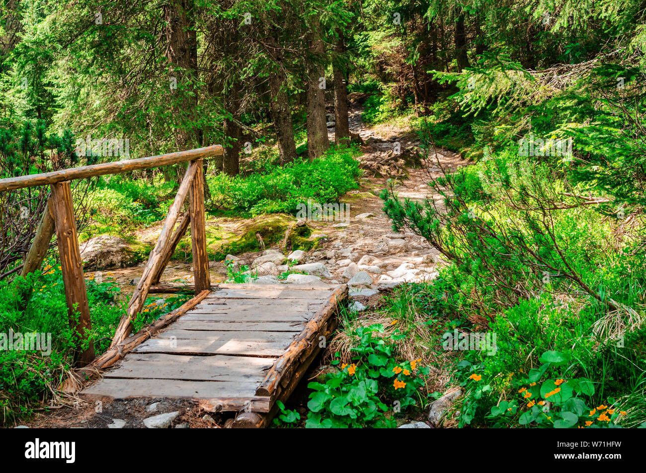 Hölzerne Brücke über einen Bach im Wald. Stockfoto