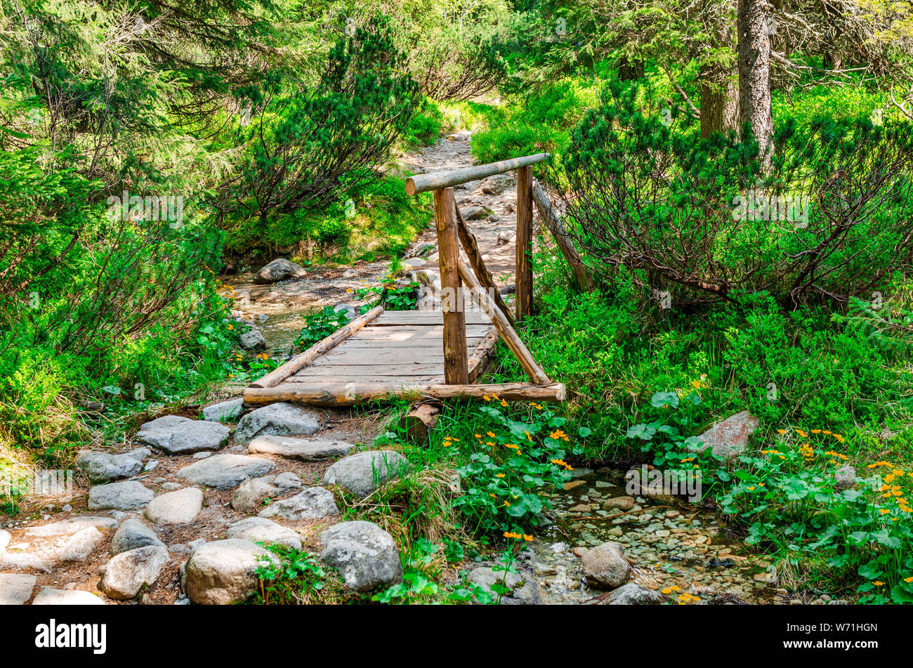 Hölzerne Brücke über einen Bach im Wald. Stockfoto