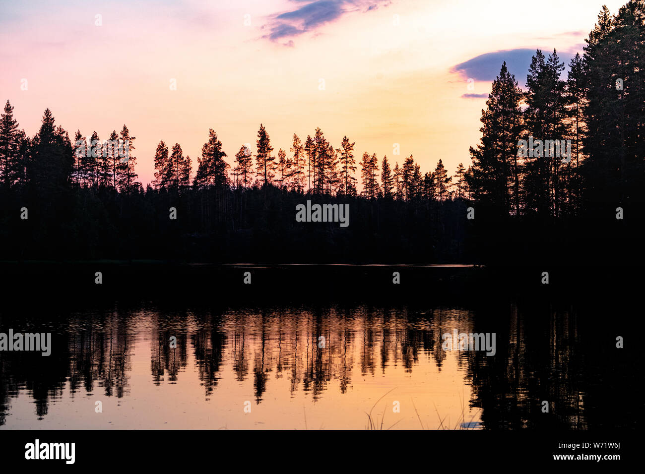 Sonnenuntergang mit Silhouetten von einem Nadelwald. Black River (svartälven) in der Wüste, Schweden Stockfoto