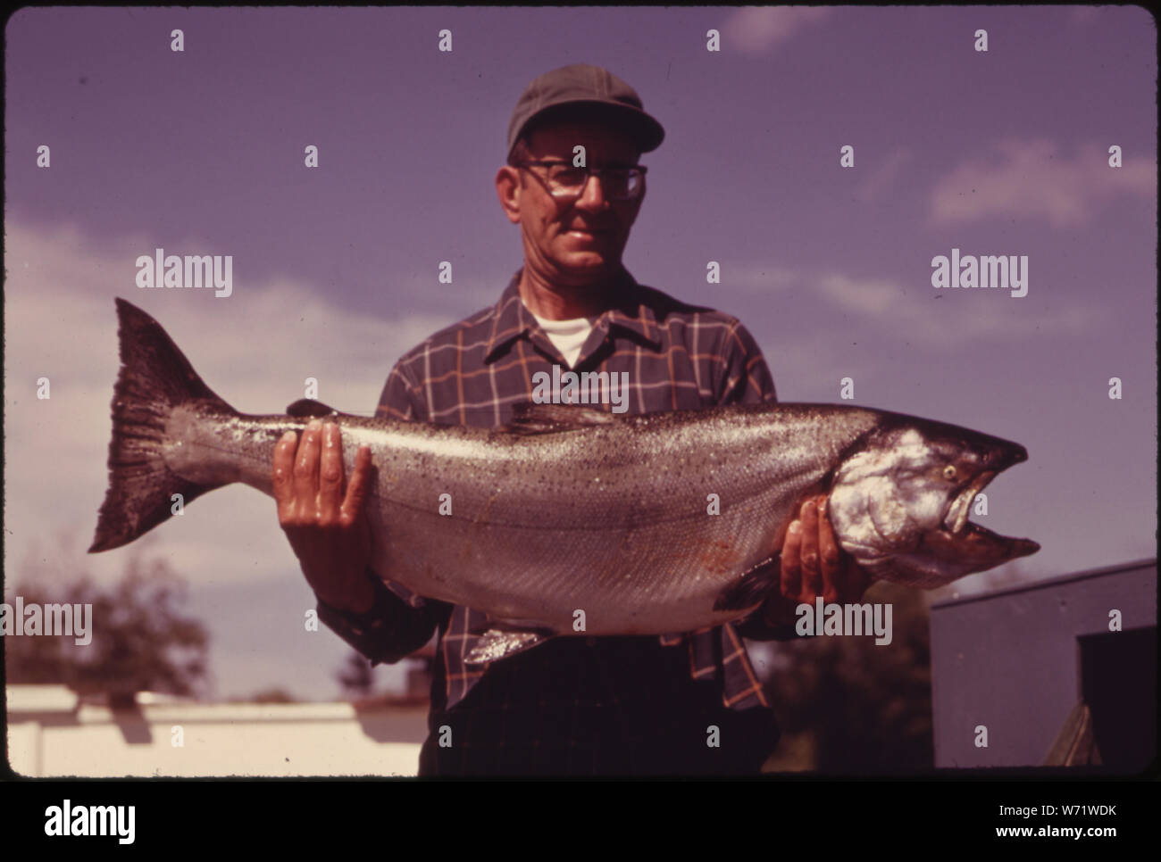 AL BREWER ZEIGT EINE 35 PFUND CHINOOKLACHSE DURCH ERWISCHT SEINE FRAU AUF DEM UNTEREN SKAGIT RIVER IN DER NÄHE VON LA CONNOR IM NORDEN von Puget Sound. Stockfoto