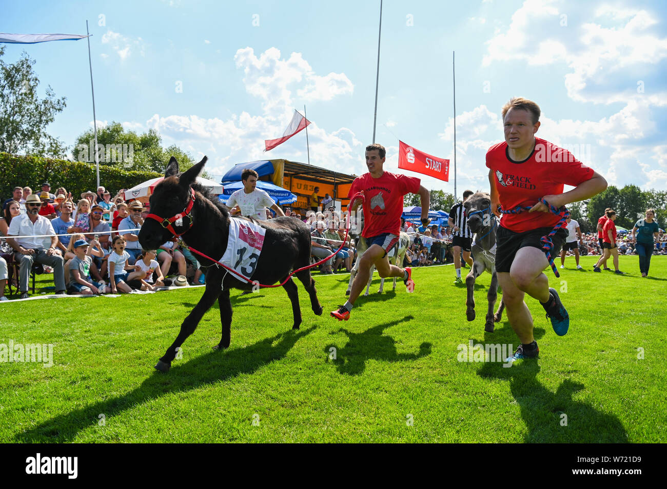 Hersbruck, Deutschland. 04 Aug, 2019. Das Team rund um Esel'Django Nicki' (l) führt das Feld. Die jährlichen Hersbrucker Eselrennen statt. Die Veranstaltung macht mehr Spaß als der Wettbewerb. Credit: Nicolas Armer/dpa/Alamy leben Nachrichten Stockfoto