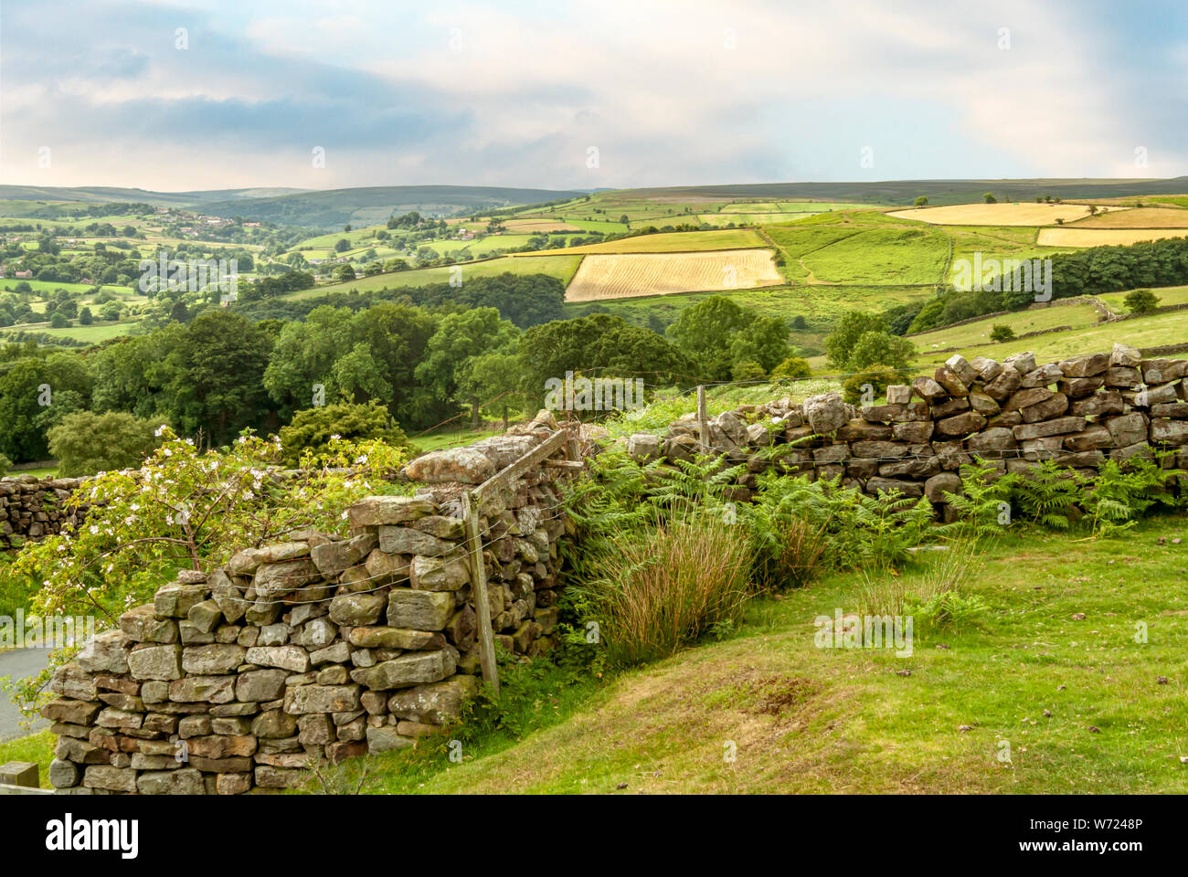 Landschaft bei North York Moors oder North Yorkshire Moors in North Yorkshire, England Stockfoto