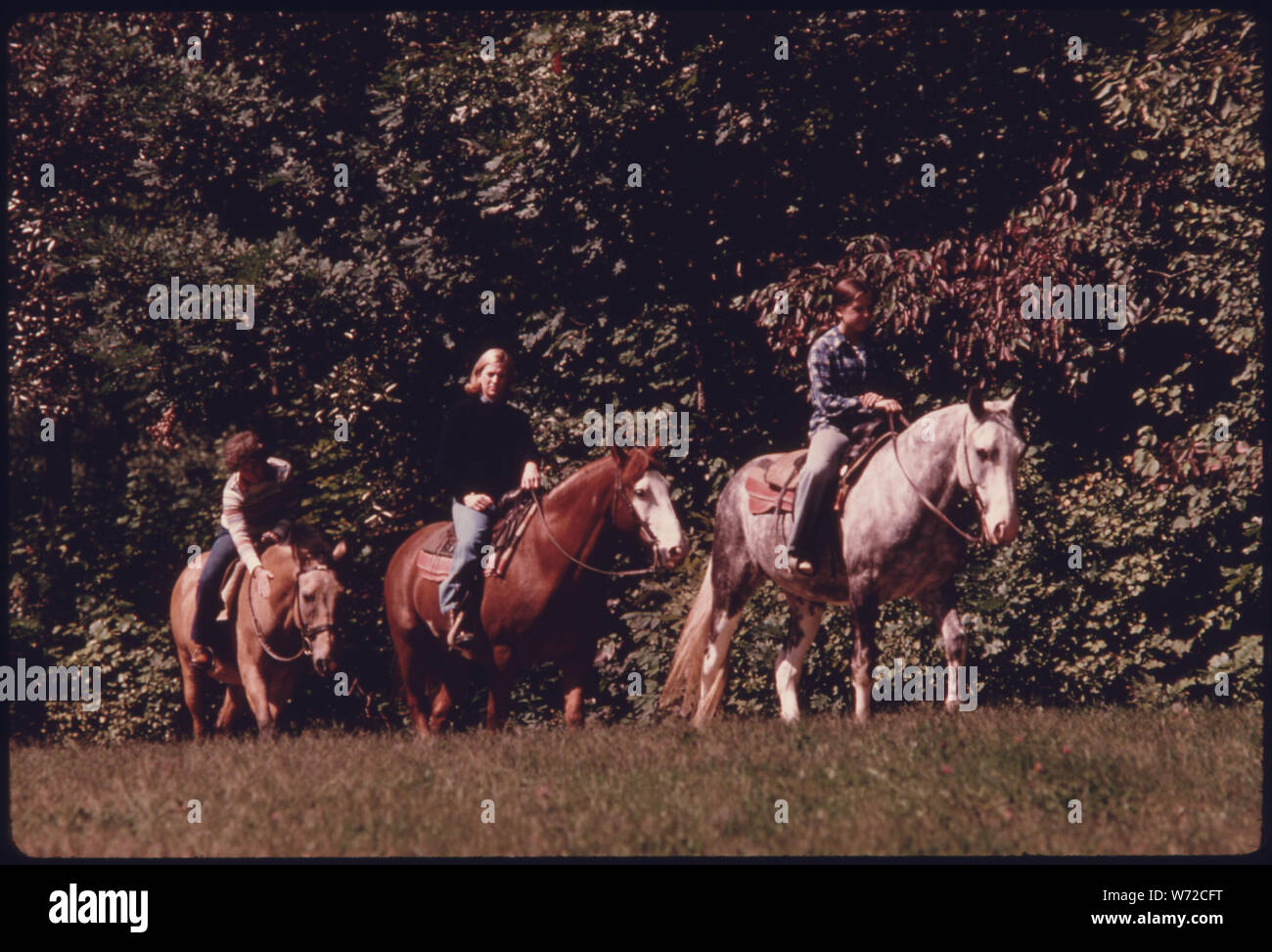 Reiter in der BRECKSVILLE RESERVIERUNG, EIN TEIL DER CLEVELAND, Ohio, METROPOLITAN PARK SYSTEM. Es ist geplant, VON DENEN WURDE UNTERZEICHNET IN GESETZ IM DEZEMBER 1974 der Cuyahoga Valley National Recreation Area TEIL ZU WERDEN. Der Bereich enthält ca. 20 Meilen von weitgehend unbebaute Land ZWISCHEN DEM METROPOLITAN Distrikten von Cleveland und Akron. Die NATIONAL PARK SERVICE ausführen muss, um einen MASTERPLAN FÜR DEN BEREICH VON JUNI 1976, UND DER KONGRESS MUSS ENTSPRECHENDE MITTEL Stockfoto