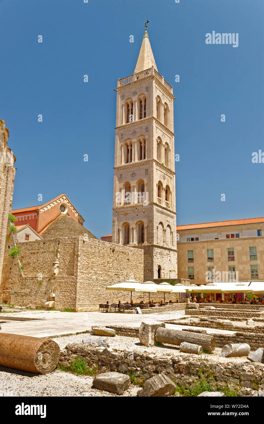 Glockenturm von St. Anastasia Kathedrale in der Altstadt von Zadar, Kroatien. Stockfoto