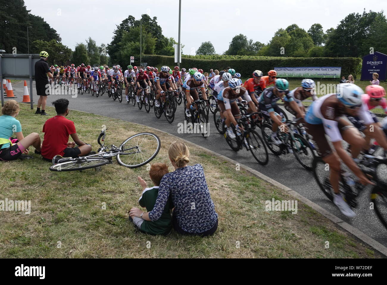 Surrey, Großbritannien. 04 Aug, 2019. Das peleton der Radfahrer Racing bei der aufsichtsrechtlichen Fahrt London/Surrey Klassiker für Profis rund um die Kurve außerhalb Debies Weinberg in Dorking. Credit: Motofoto/Alamy leben Nachrichten Stockfoto