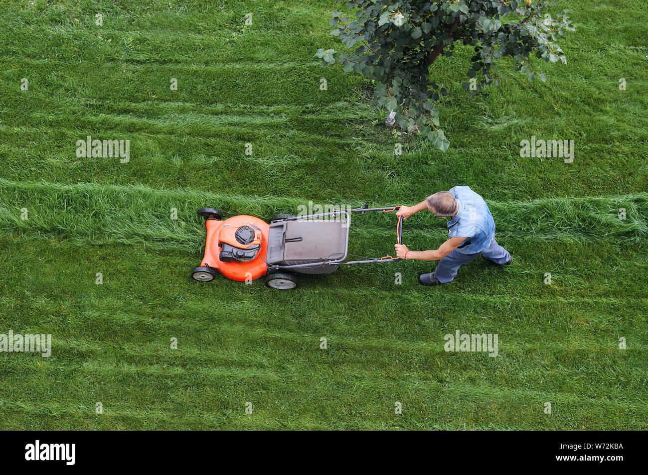 Der Mensch schneidet den Rasen. Rasenmähen. Luftaufnahme Rasenmäher auf grünem Gras. Rasenmäher. Mähwerkzeug Stockfoto