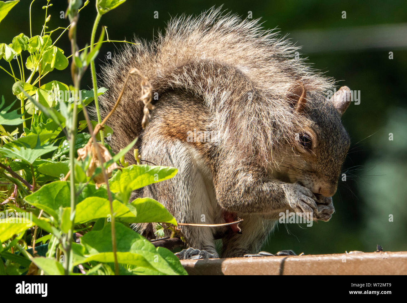 Beschäftigt Stockfoto