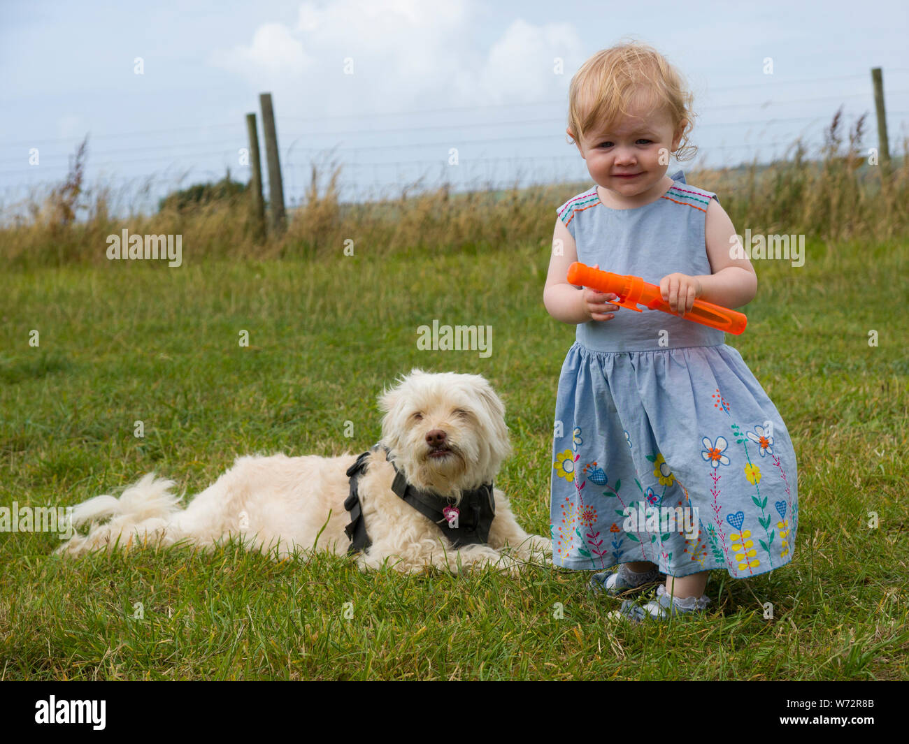 Kleinkind und Hund draußen auf Gras, Großbritannien Stockfoto