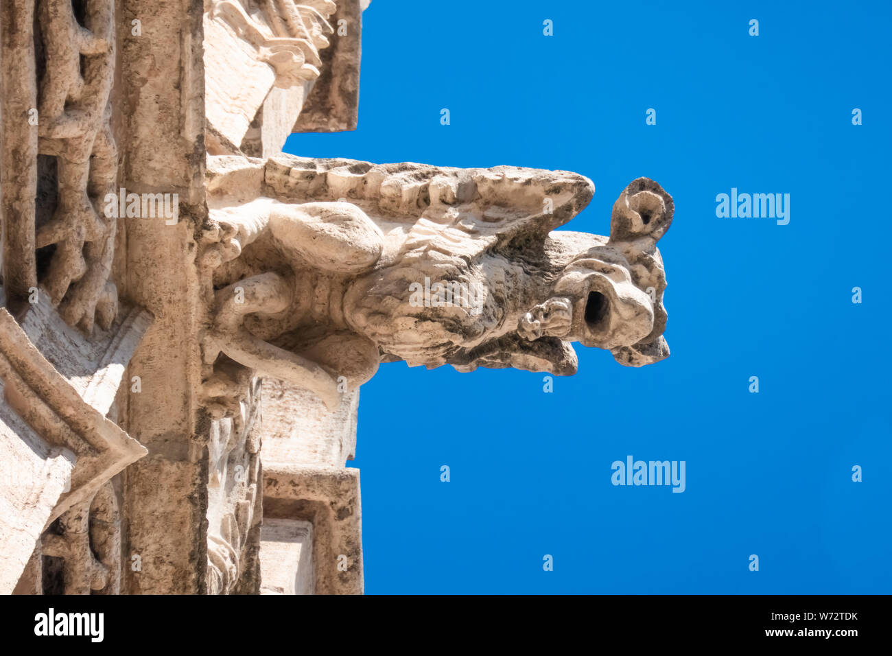 Atemberaubende Wasserspeier in der llotja de la Seda (mittelalterliche Seide Exchange), eine späte Valencia im gotischen Stil zivile Gebäude in Valencia, Spanien. Stockfoto