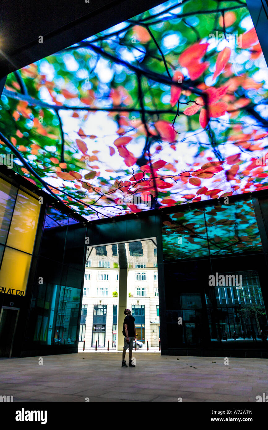 "Botanischen" Installation von Jennifer Steinkamp, großen Bildschirm mit bewegten Bildern, Skulpturen in der Stadt, London, UK Stockfoto