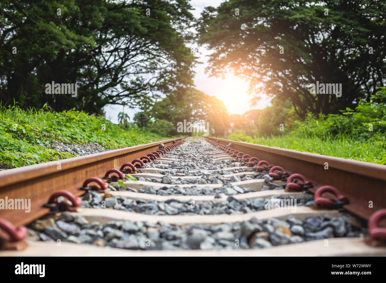 Bahngleise: Eisenbahn mit Stein vorbei an den Wald Stockfoto