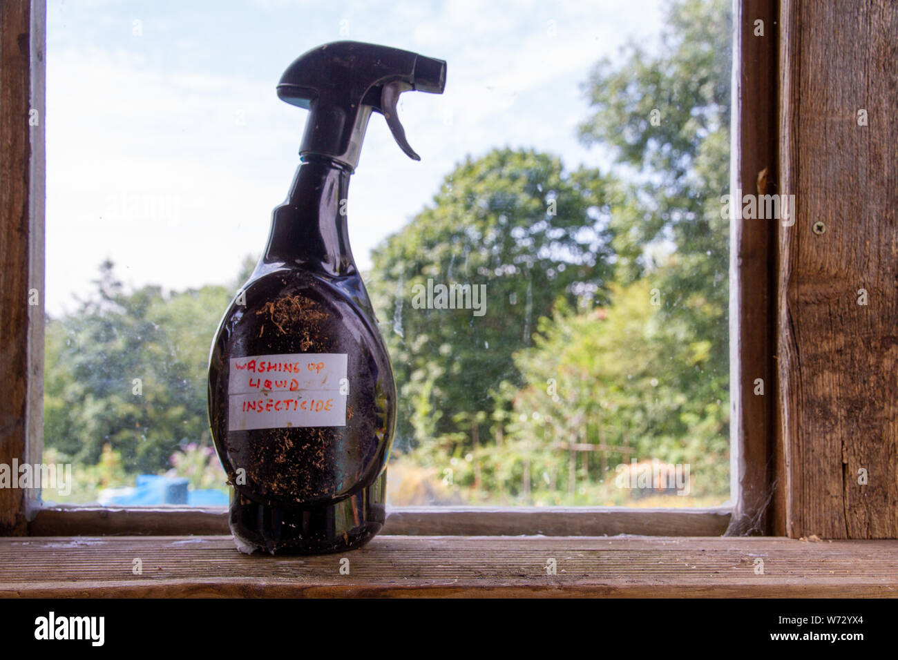 Eine alte Plastik Sprühflasche steht auf den Fenstersims eines Gartenhaus, mit handgeschriebenen Etikett 'Spülmittel Insektizid" auf Seite Stockfoto