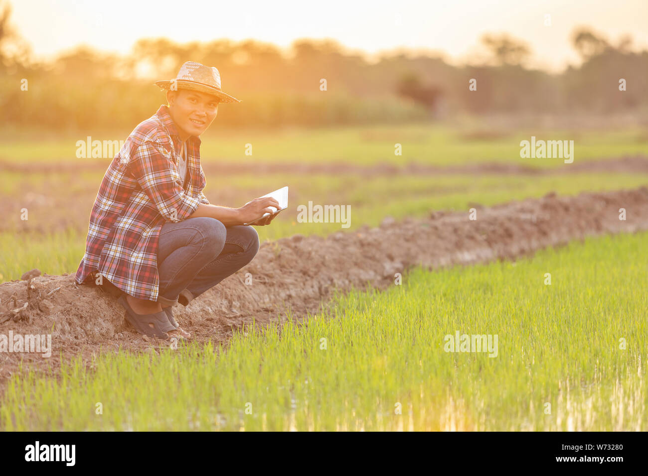 Asiatische junge Landwirt mit Tablet an der grüne Reisfelder. Verwenden Sie Technologie, die in der Farm Konzept Stockfoto