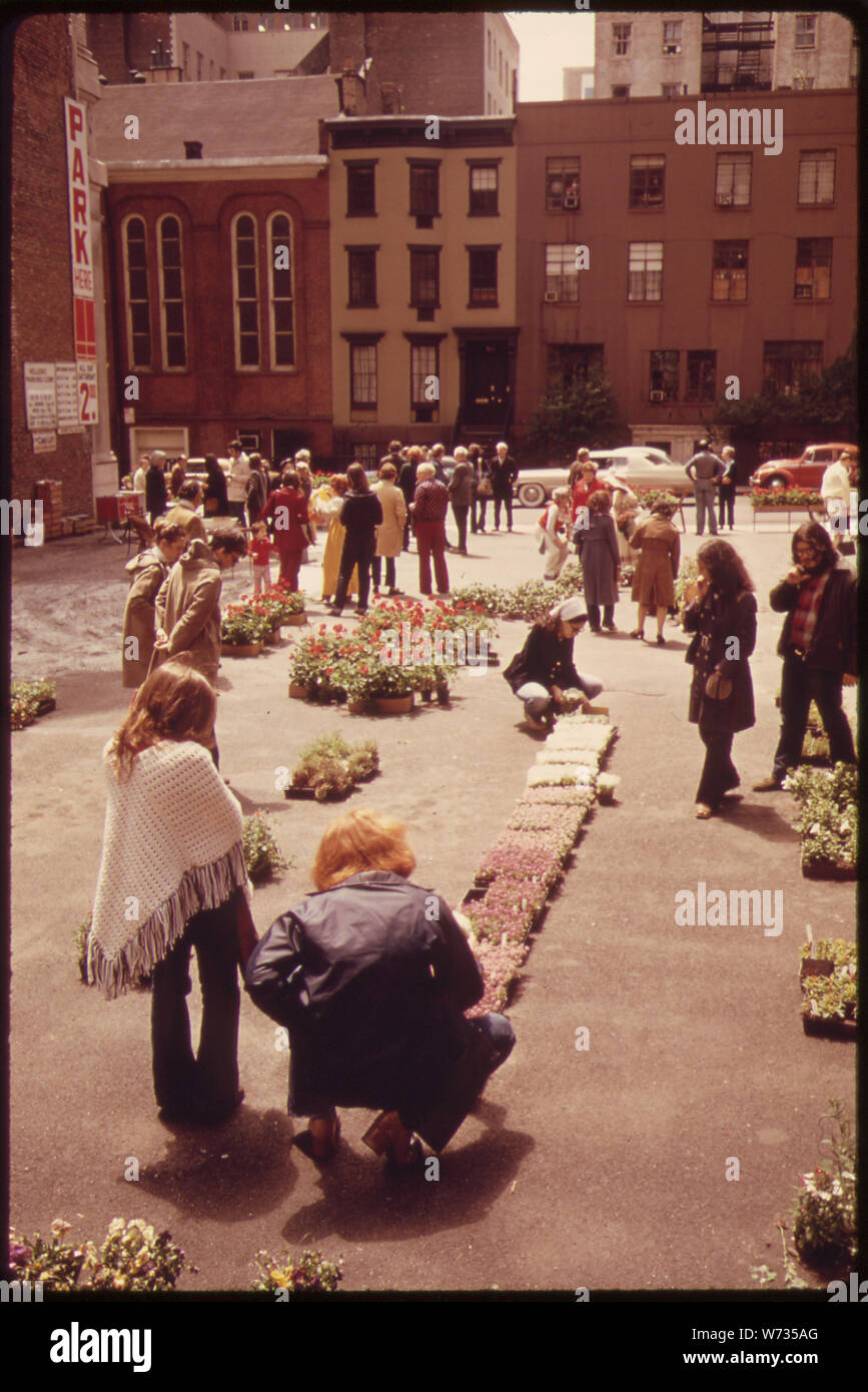 SPRING FLOWER VERKAUF, GEHALTEN AUF DEM PARKPLATZ AN DER EAST 30 TH STREET ZWISCHEN LEXINGTON UND PARK AVENUE. Verkauf WURDE VON DER ROSE HILL ASSOCIATION organisiert, eine Gruppe, UM GELD FÜR NEUE hohe Intensität der Beleuchtung für die Nachbarschaft. Hunderte von Menschen kamen zu pflanzen KAUFEN UND ERHALTEN SIE KOSTENLOSE BERATUNG ZU IHRER BETREUUNG Stockfoto