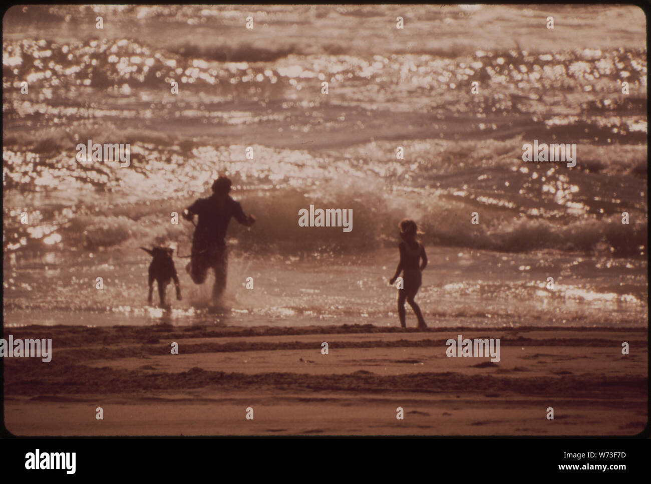 ZMUDOWSKI STATE BEACH (aus dem DOCUMERICA-1 AUSSTELLUNG FÜR DIE ANDEREN BILDER IN DIESER Zuordnung siehe Datenblatt Zahlen 11, 12, 13, 14, 15, 18, 16, 17.); Allgemeine Hinweise: In Moss Landing, Monterey County, Kalifornien. Stockfoto