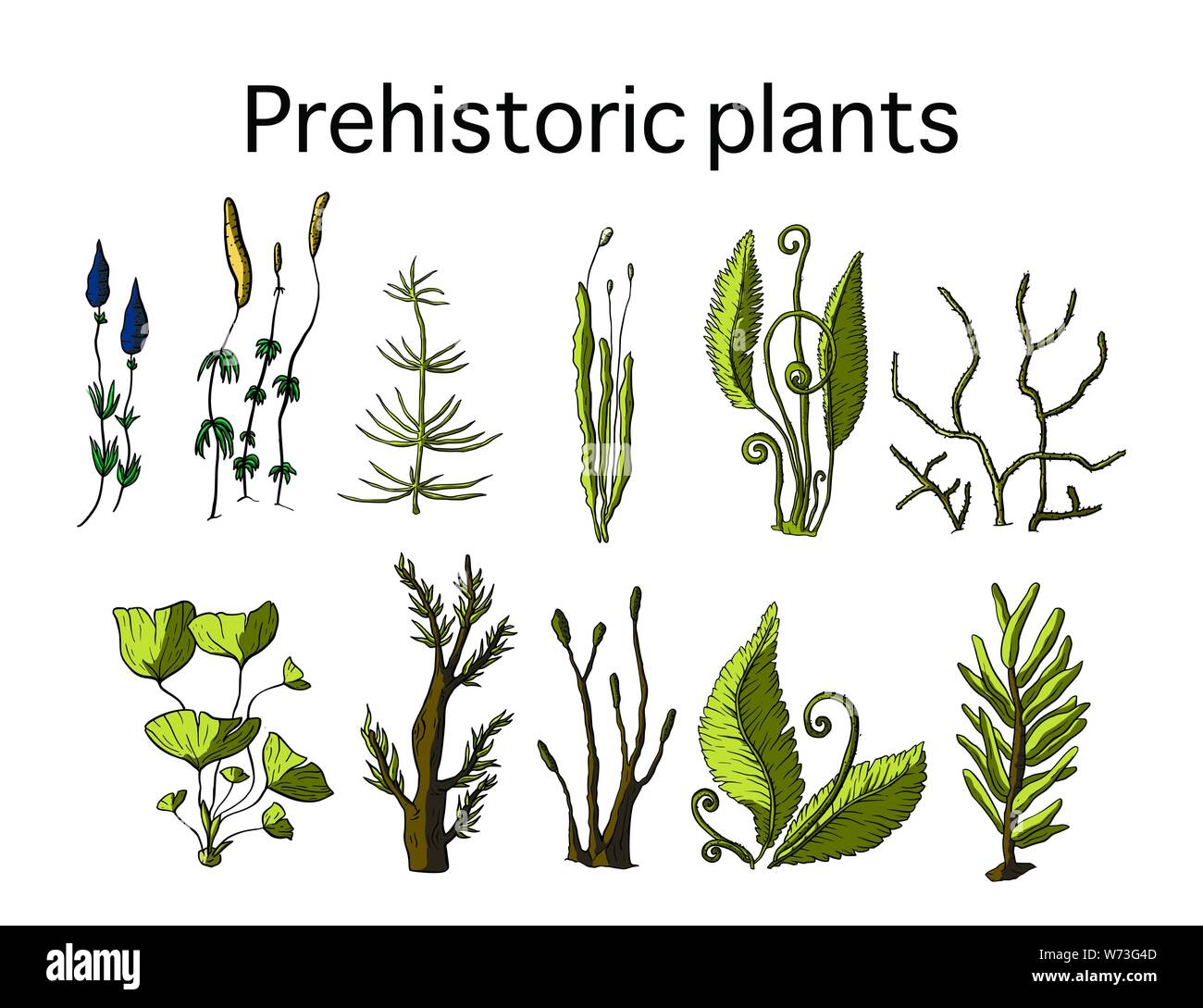 Prähistorische vektor Pflanzen. Differenr ausgestorben Grün, Cartoon botanischen Regenwald. Stock Vektor