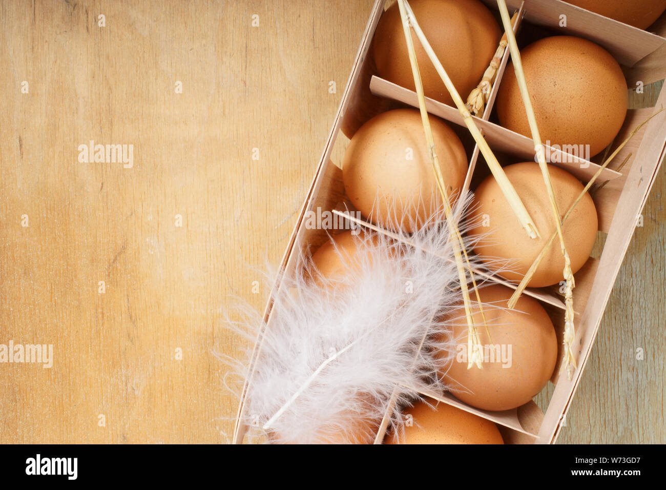 Frisches Huhn Eier vom Bauernhof Stockfoto