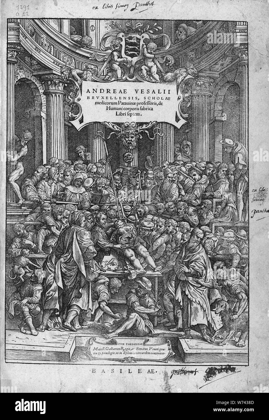 De Humani Corporis Fabrica (16). Stockfoto