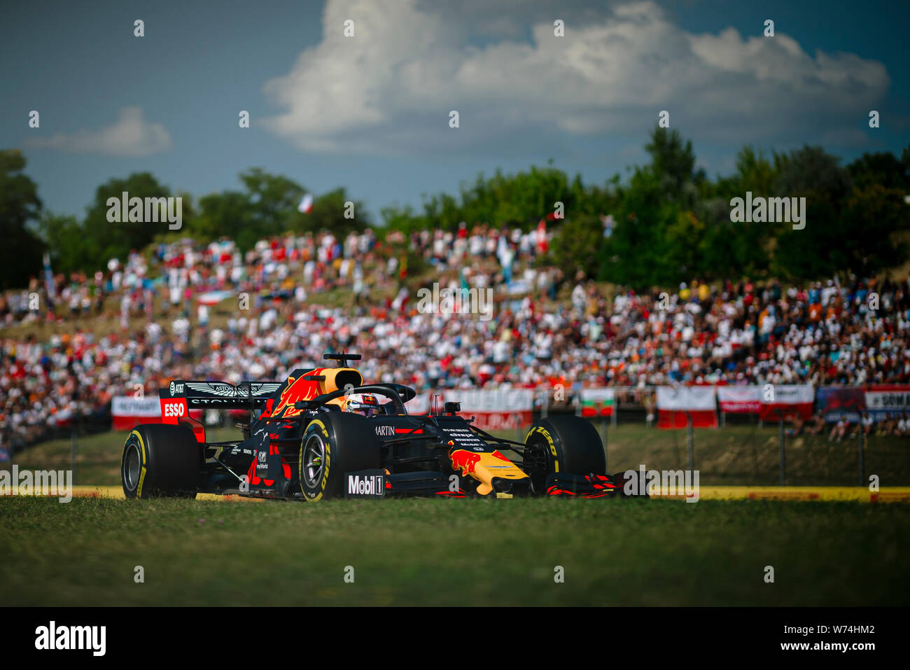 Red Bull Racing niederländische Fahrer Max Verstappen konkurriert während der Ungarischen F1 Grand Prix am Hungaroring. Stockfoto