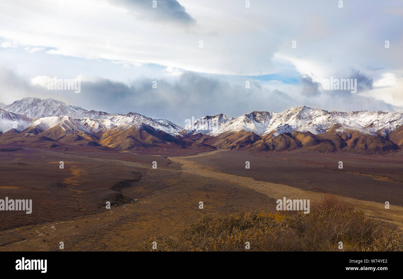 Denali Park in der Alaska Range mit Bergkontrast Stockfoto