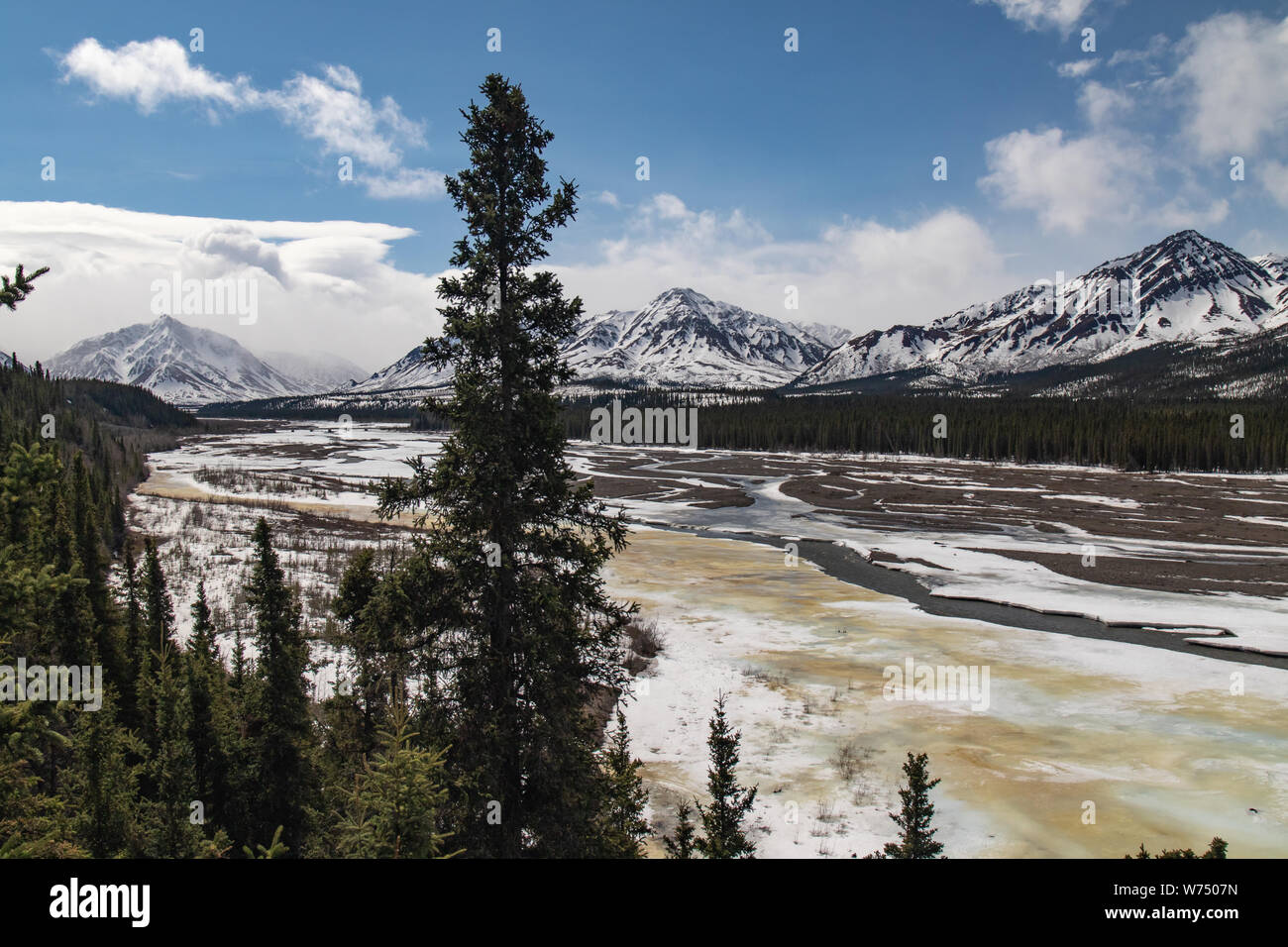 Malerischer Blick auf Savage River im Denali National Park Stockfoto