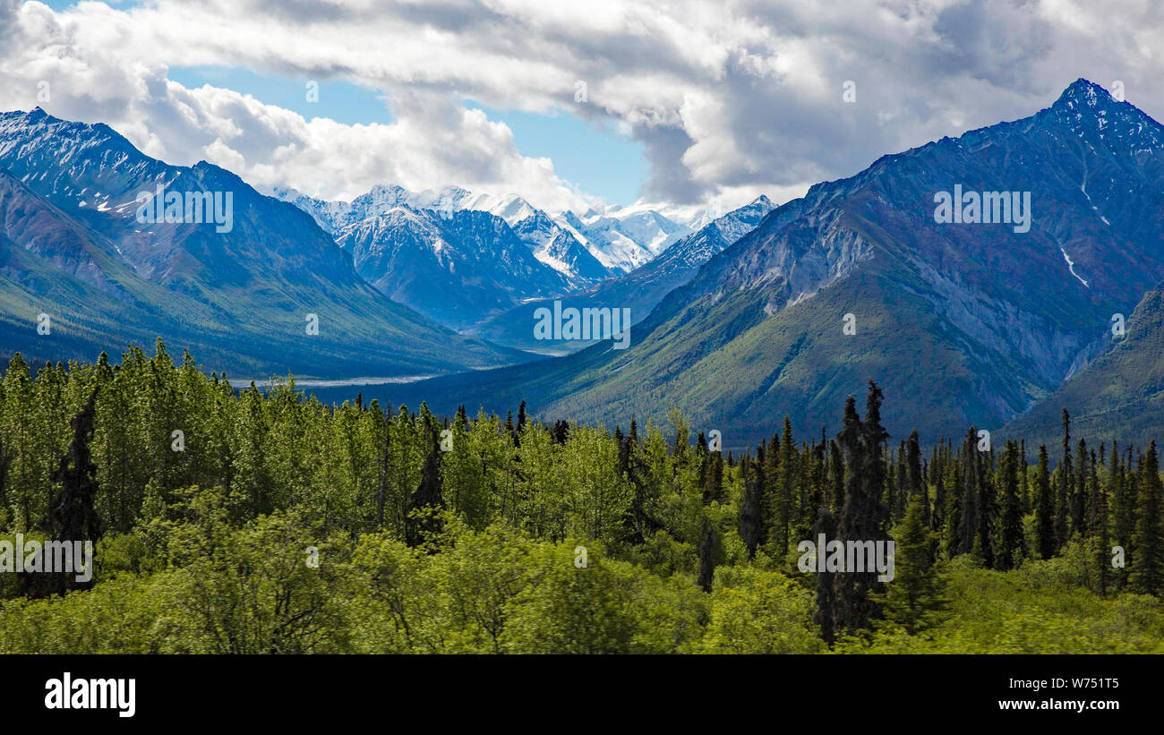 Landschaftlich Schöner Blick Auf Die Bergkette Palmer Alaska Stockfoto