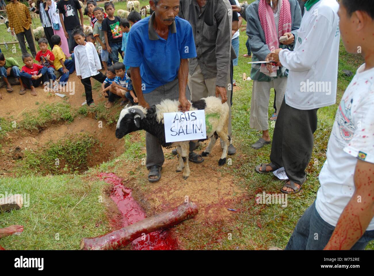 Bogor, West Java, Indonesien - August 2019: ein Freiwilliger halten ein vollgültiges Schaf mit dem Namen vor der traditionellen donatur in einem underdevel geschlachtet Stockfoto