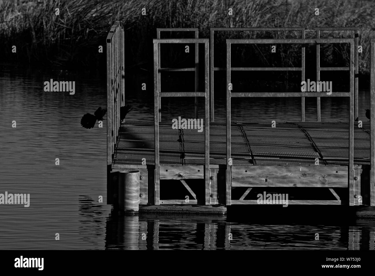 Angeln Dock, LindseyPark öffentlichen Angelsee, Canyon, Texas Stockfoto