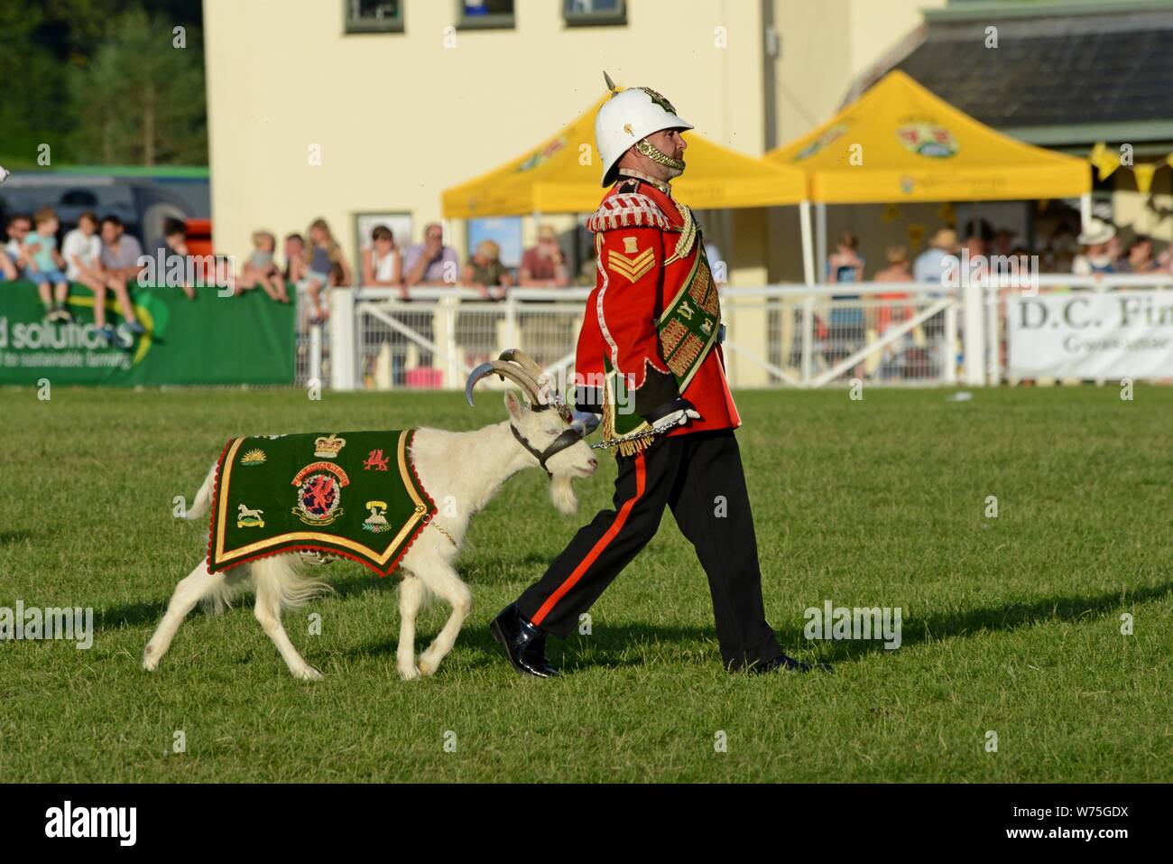 Die Band des Royal Welsh Guards führt im Ring an der 100 Royal Welsh Show 2019, Builth Wells Stockfoto