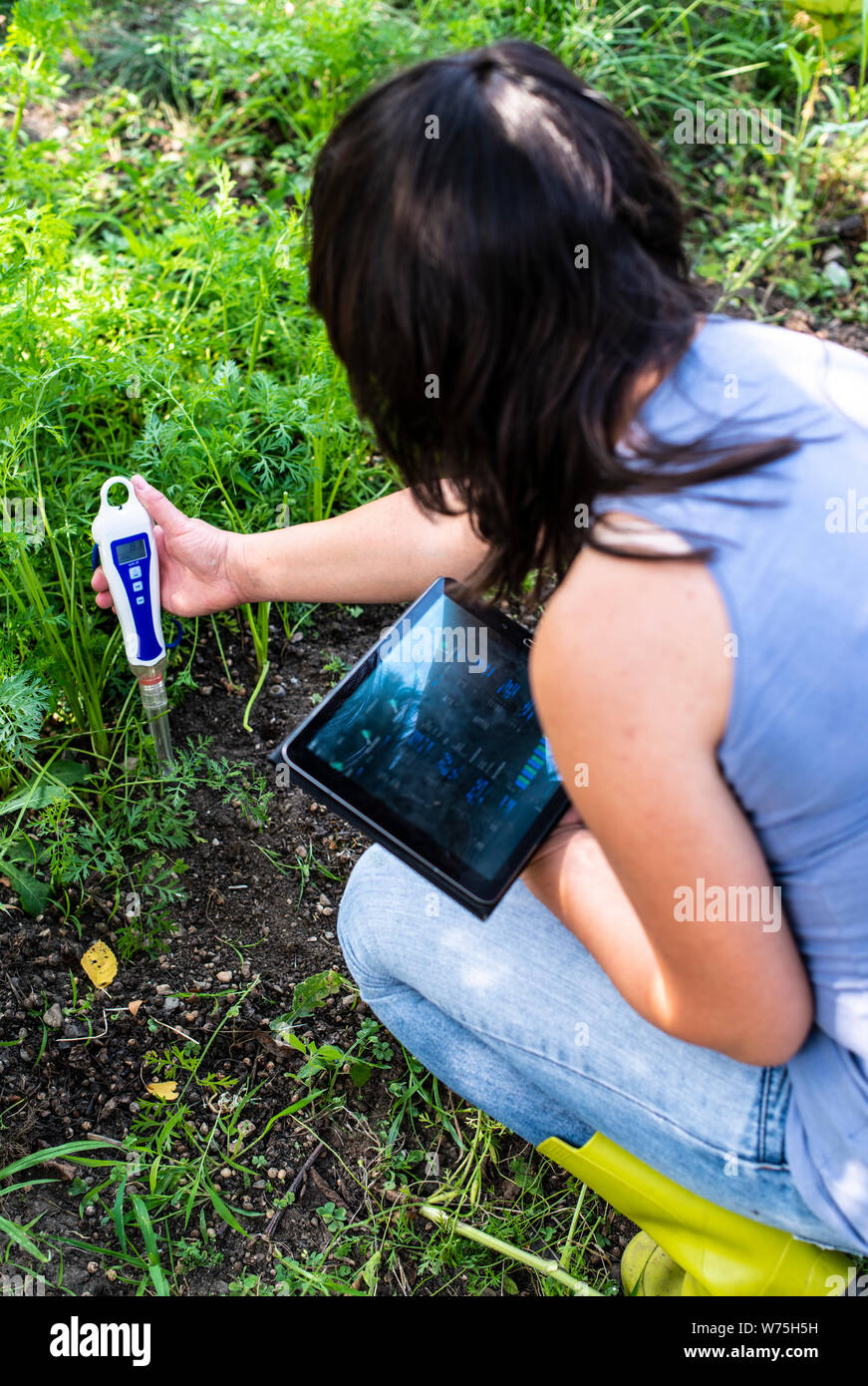 PH-Meter Tester im Boden. Messen Sie den Boden mit digitalen Gerät und Tablet. Frau Bauer in einem Garten. Konzept für neue Technologien in der Landwirtschaft. Stockfoto