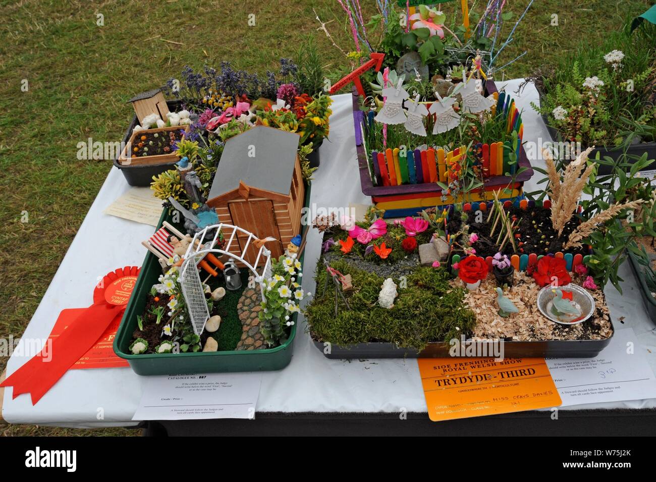 Miniatur Gärten auf Anzeige im Gartenbau Festzelt an Änderung des Welsh Show 2019, Builth Wells Stockfoto