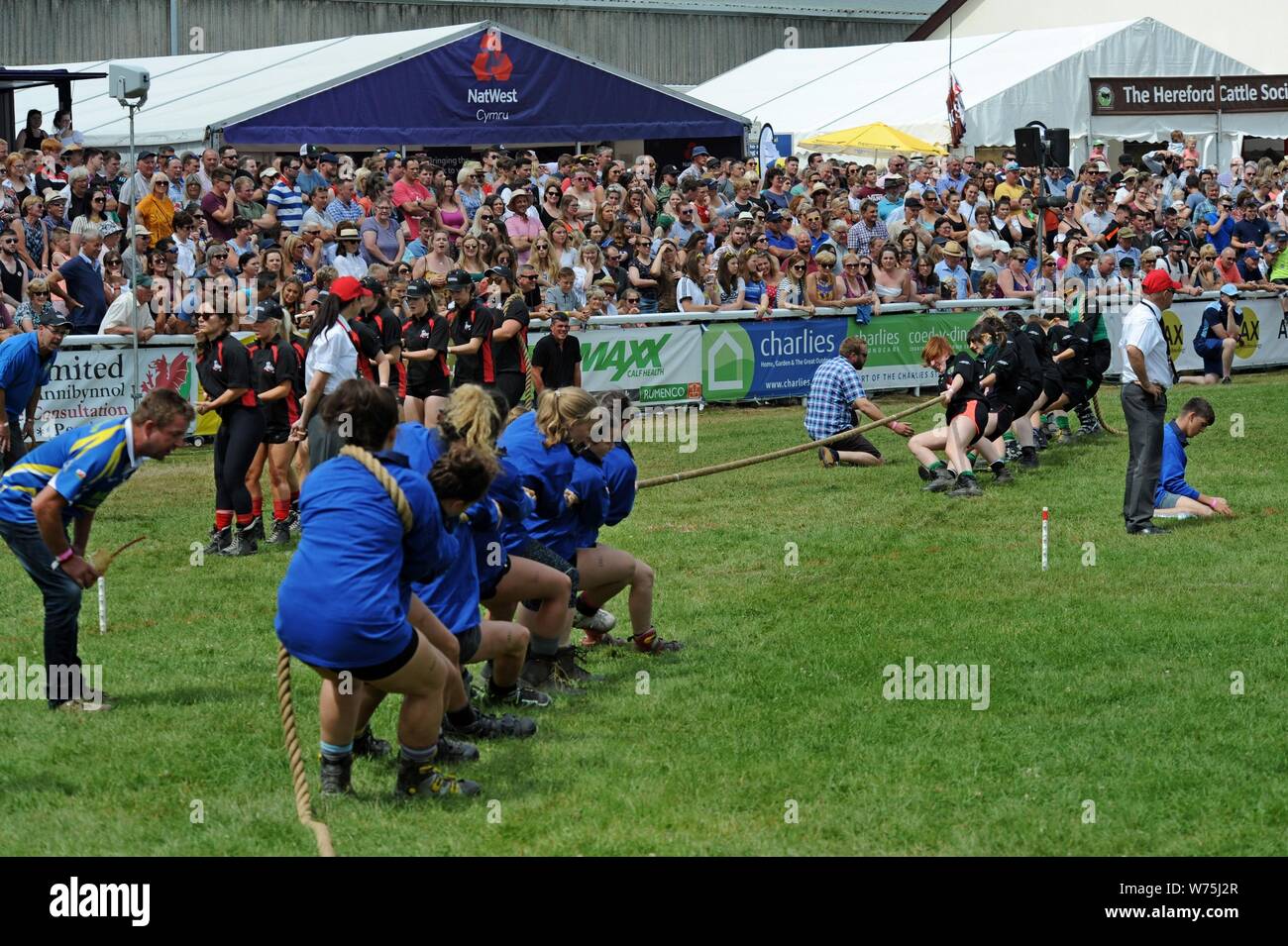 Mannschaften von Vereinen Waliser Junger Landwirt konkurrieren in einem Tauziehen Konkurrenz an die 100 Royal Welsh Show 2019, Builth Wells Stockfoto