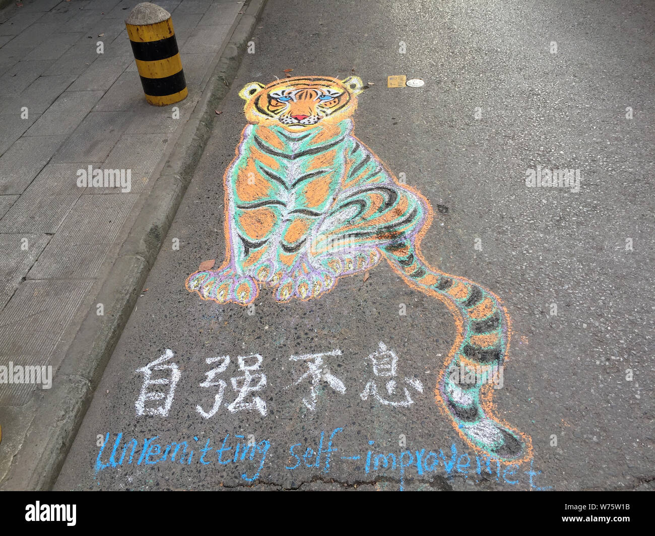 Ansicht einer Live - wie Tiger durch eine behinderte Chinesischer Mann auf einem Bürgersteig in Wuhan City gemalt, das Zentrale China Provinz Hubei, 26. November 2017. Ein deaktivieren Stockfoto