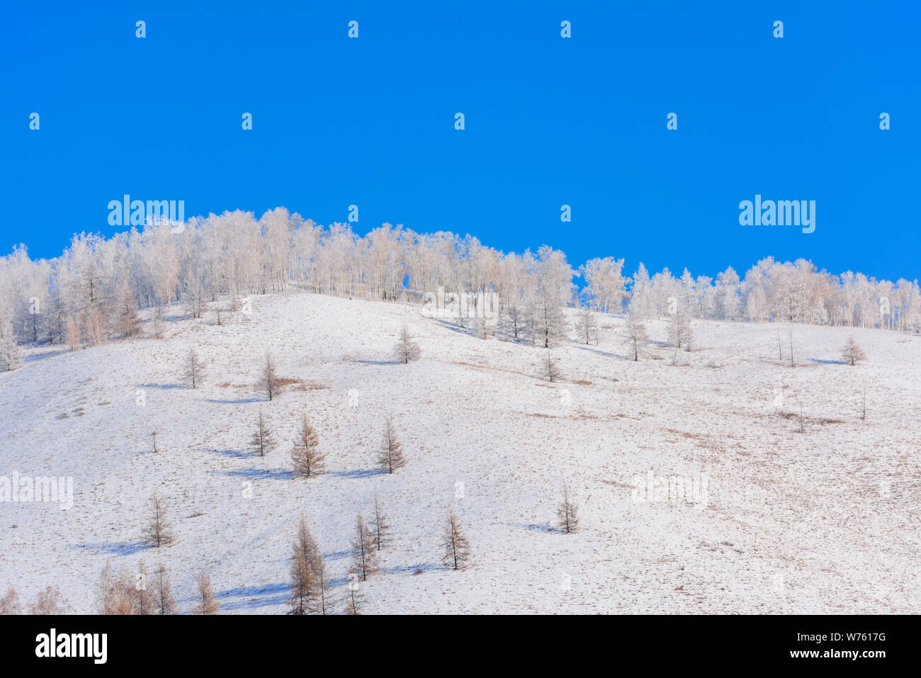 Kulisse der schneebedeckten Hulunbuir Stadt in North China Autonome Region Innere Mongolei, 25. Dezember 2017. Stockfoto