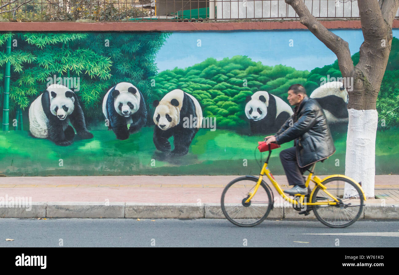 Ein Radfahrer fährt vorbei an einer Wandmalerei übersicht Riesenpandas auf der Bambus Wald auf einer Straße im Stadtteil Chenghua, Chengdu City, im Südwesten Chinas Sichu Stockfoto