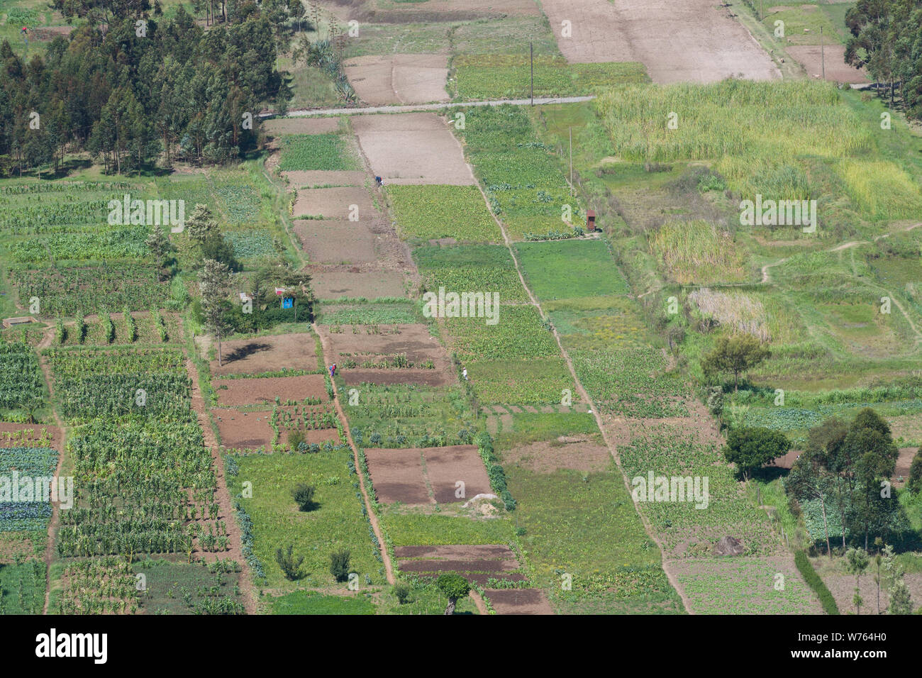 Ein Flickenteppich von Bauern Feld gesehen von der Mahi Mahiu Longonot View Point", auf einer 104 Nakuru - Nairobi Straße. Rift Valley Kenia. Stockfoto