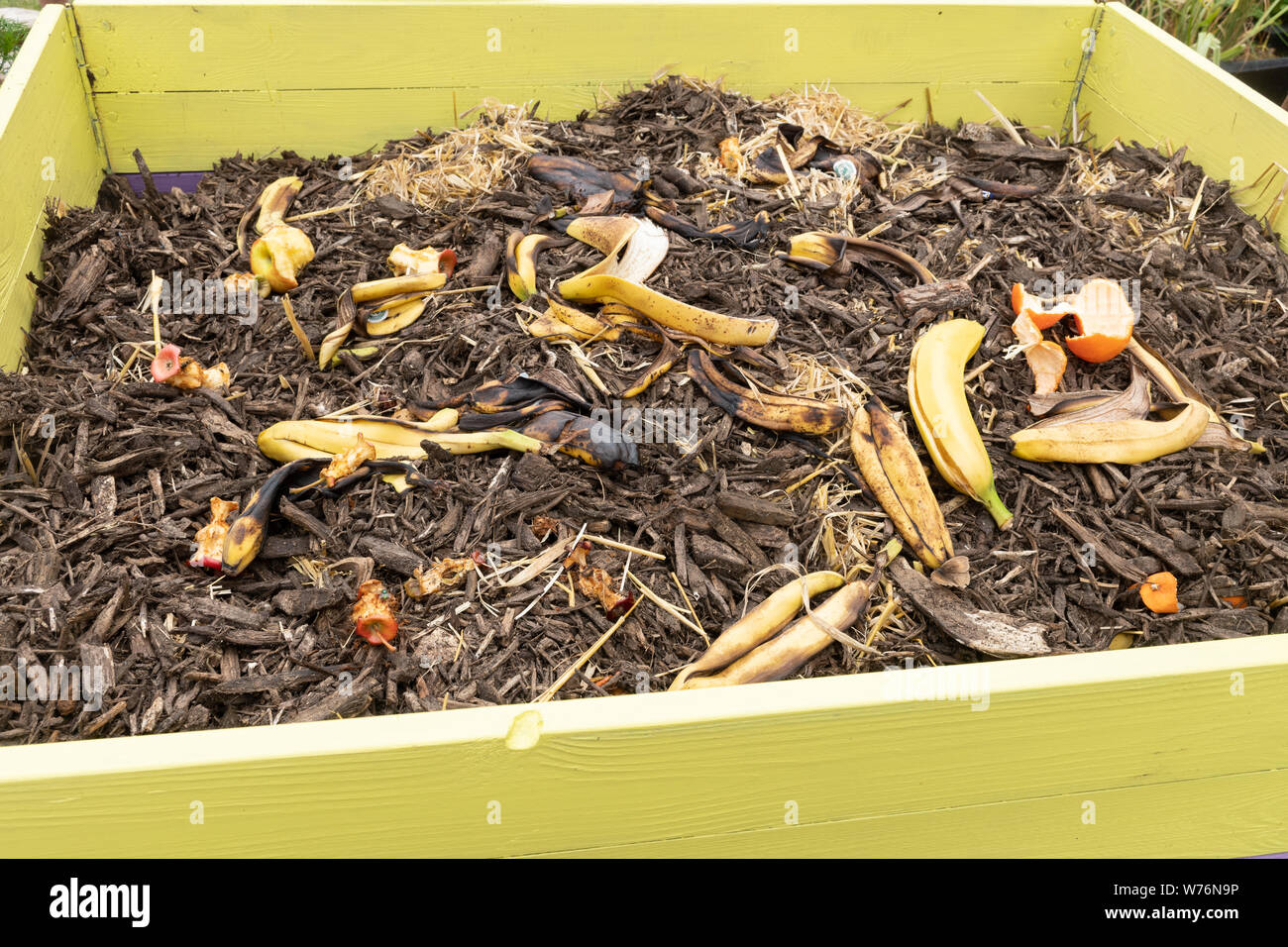 Komposteimer mit banana skins, Obst Peelings und Apple Kerne Stockfoto